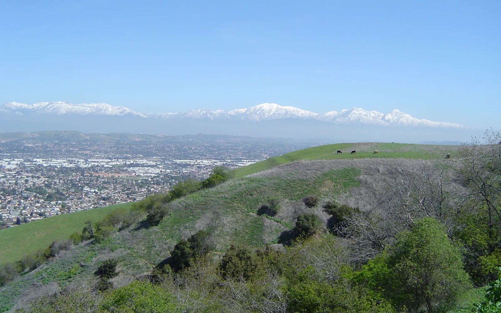 San Gabriel Mountains as seen from the San Gabriel Valley